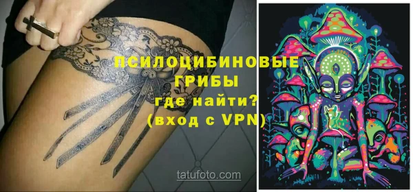 МДПВ Алексеевка
