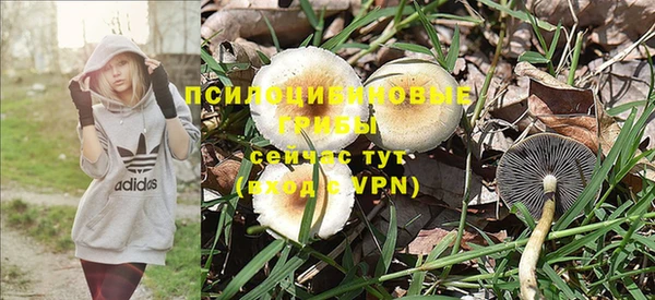 МДПВ Алексеевка