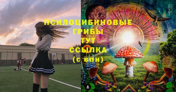 МДПВ Алексеевка