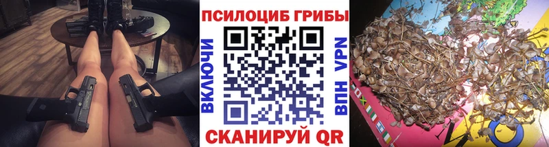 shop какой сайт  Аша  Псилоцибиновые грибы ЛСД  закладки 