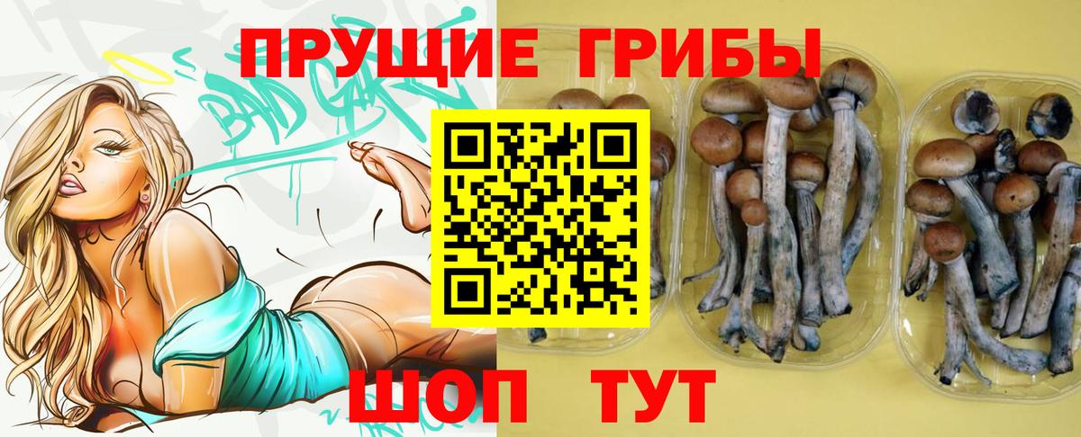 Псилоцибиновые грибы Magic Shrooms  Вход с VPN  Аша 