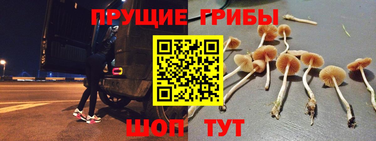 Псилоцибиновые грибы Magic Shrooms Аша
